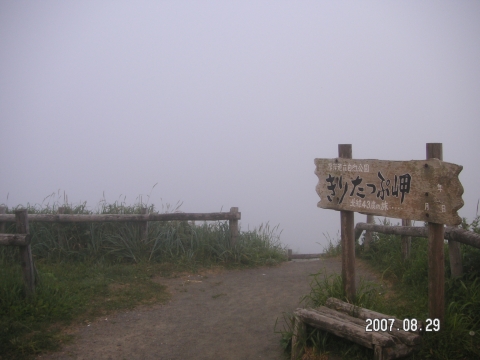 s_PICT0519.jpg